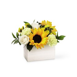 The FTD Sweet as Lemonade Bouquet from Lloyd's Florist, local florist in Louisville,KY